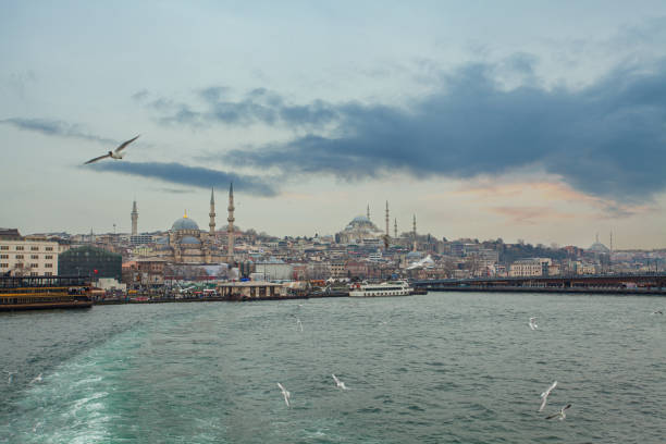 istock The Bosphor and view on Istanbul, Turkey, panoramic 1444915517