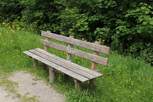 a nice garden bench