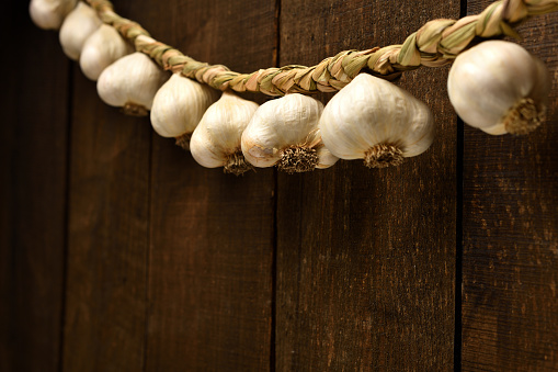 garlic bulbs braided in a pigtail like a garland on a background of dark wooden boards, an empty place for text