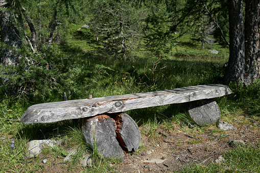 An old bench made of weathered wood invites you to take a break at the edge of the forest.