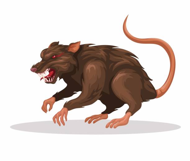 Monster Rat character cartoon illustration vector Monster Rat character cartoon illustration vector magic mouse stock illustrations