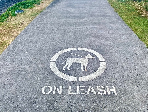 Horizontal path with on leash dog walking symbol next to beach at Lennox Head Australia