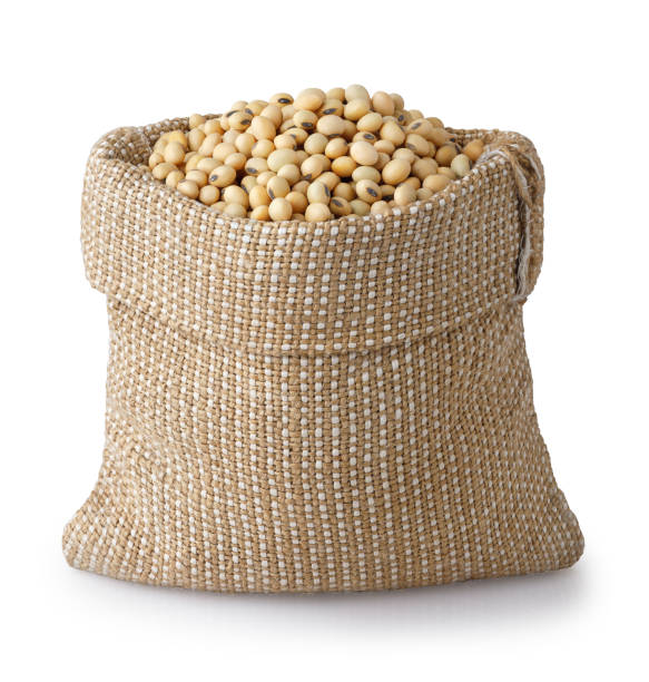 istock soybeans in burlap bag isolated on white background 1444928371