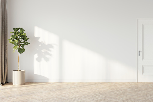 Plant against a white wall mockup. White wall mockup with brown curtain, plant and wood floor. 3D illustration.