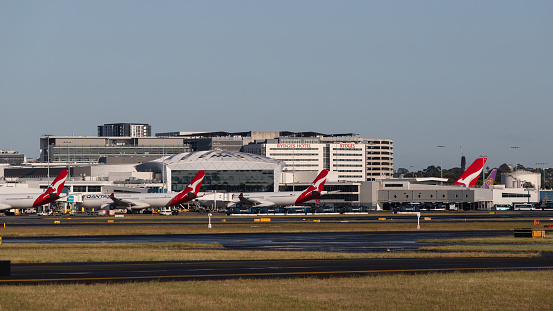 Sydney, Australia - November 20, 2022: Qantas airplanes on the boarding gate.
