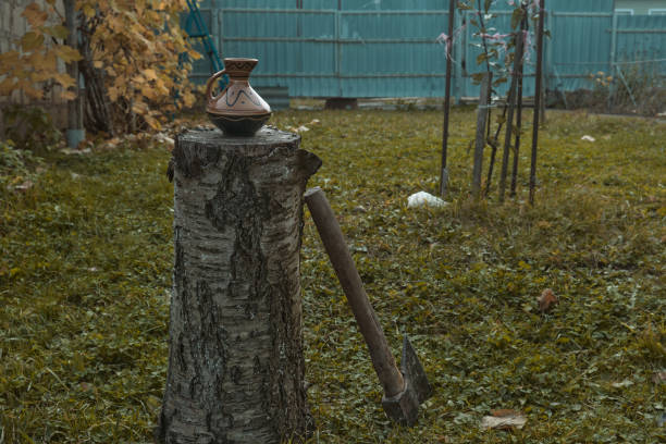素朴な木の柵の背景に家の庭の丸太に伝統的な粘土のピッチャーの水差し 古いセラミックポット - jug pitcher pottery old ストックフォトと画像