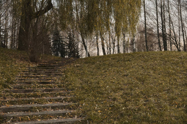 Stone stairs covered with fallen autumn leaves