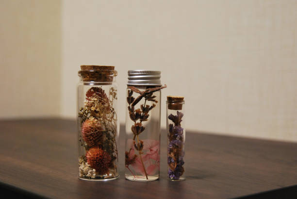 istock lavender and purple clover herbarium 1444934639