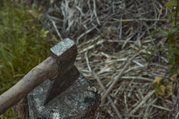 istock Old rusty axe with wooden handle stuck in the stump Large ax in hand 1444934693