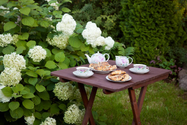 stół ustawiony w ogrodzie na herbatę ze świeżymi wypiekami - otwarta przestrzeń ustawienia zdjęcia i obrazy z banku zdjęć