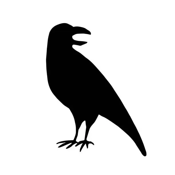 Vector illustration of Black crow silhouette isolated on white background