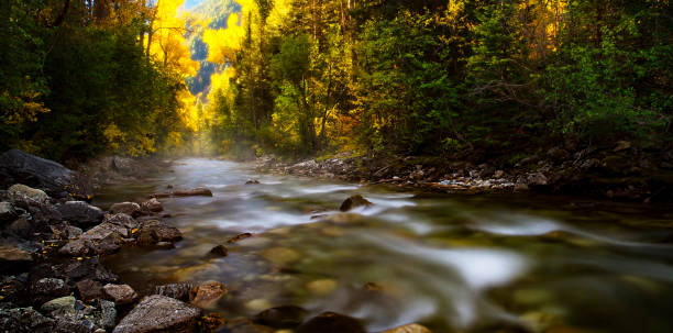 istock Beautiful Aspen autumn pictures 1444939199