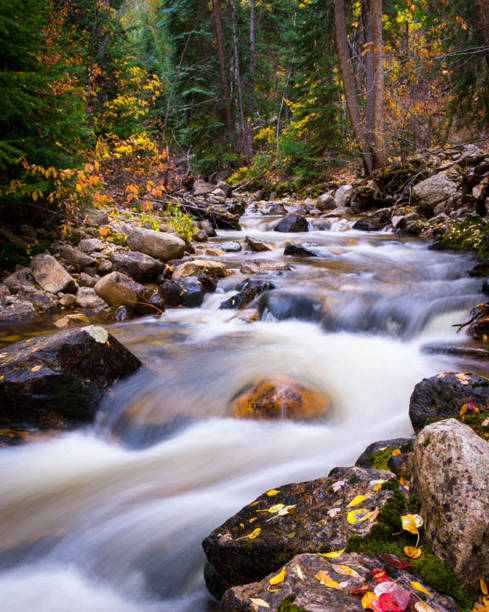 istock Beautiful Aspen autumn pictures 1444939823