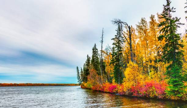 istock Beautiful Aspen autumn pictures 1444939926