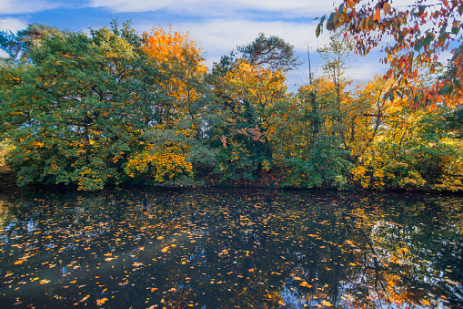 beautiful autumn landscape with a reflection of trees in the water of a lake, pond or river