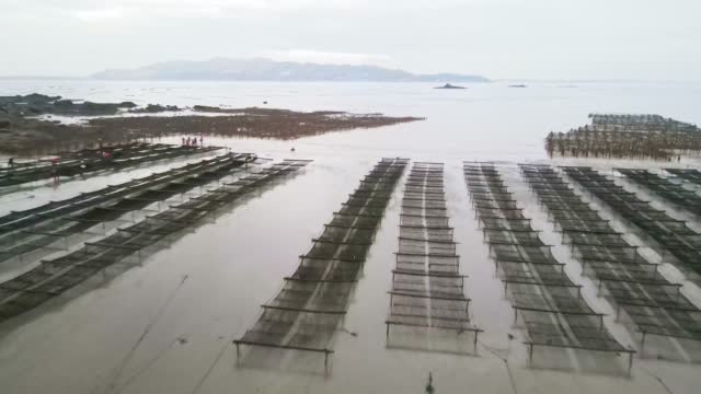 Seaweed Farm in the Seaside Fishery Center