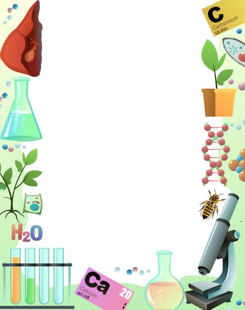 Border Chemistry along edge of image. Science items picture. Study of living cells of plants, animals and humans. Isolated on white background. Vector. Border Chemistry along edge of image. Science items picture. Study of living cells of plants, animals and humans. Isolated on white background. Vector perimeter formula stock illustrations