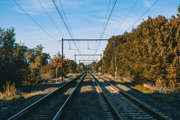 istock Railroad perspective view in forest with blue sky 1444943181