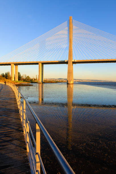 istock Sunrise at Vasco da Gama Bridge 1444945813