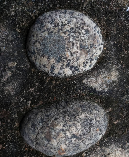 istock abstract background of pebbles arranged on the road 1444952626