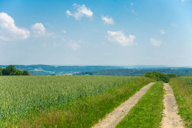 Country road over fields to horizon