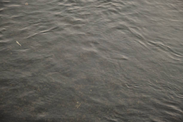 istock autumn maple fallen leaves under lake water surface with waves circles and sky reflation 1444956878