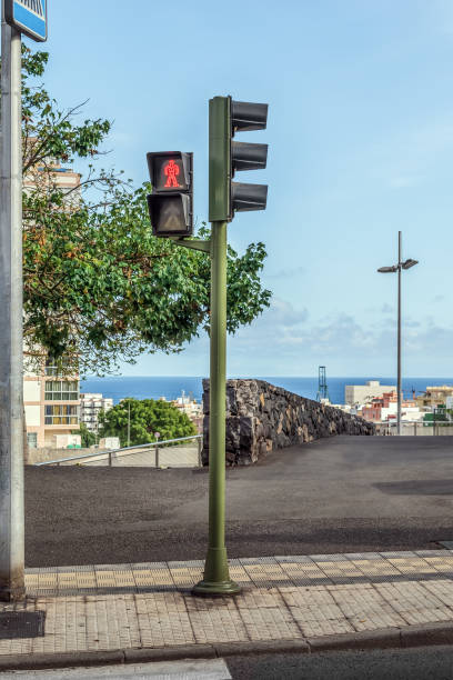 istock Traffic light in Santa Cruz de Tenerife, Spain 1444960182