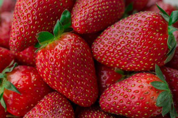 istock Fresh Strawberry background, hand picked ripe strawberry right from fields 1444962990