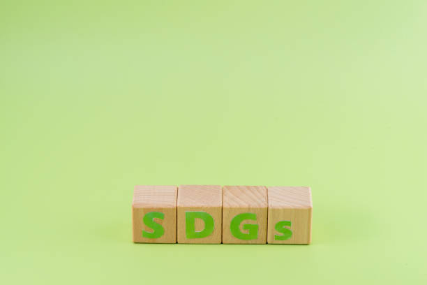 istock SDGs - sustainable development goals word concept on cubes 1444965573