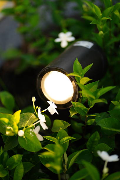 istock Garden lamp in garden 1444969743