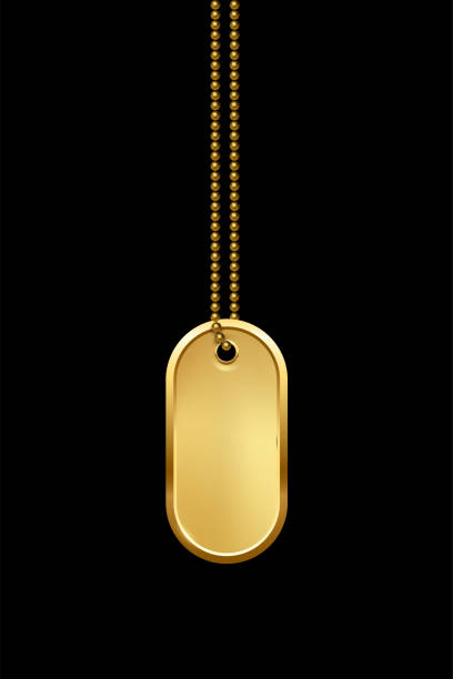 istock Empty ellipse golden military or dogs badge hanging on chain. Vector oval army object isolated on black background. Pendant with blank space for identification, blood type in case of death and injury 1444971116
