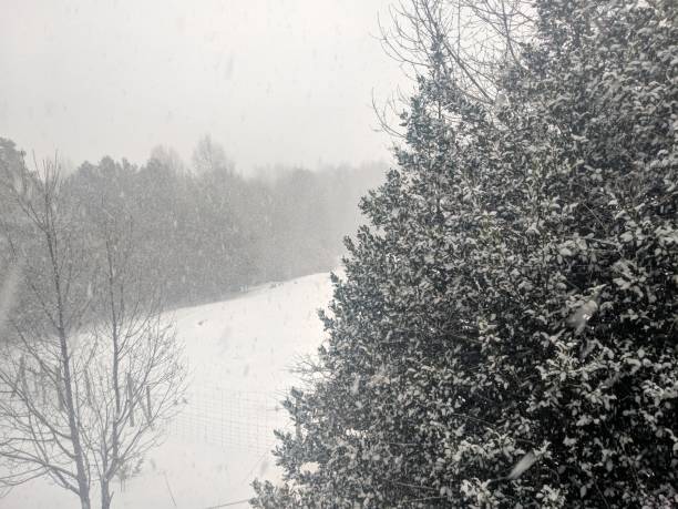istock Winter landscape with a view of a snowy mountain 1444973573