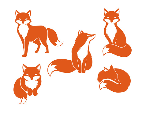 Emblem design of red fox. Set of silhouettes fox. Vector illustration.