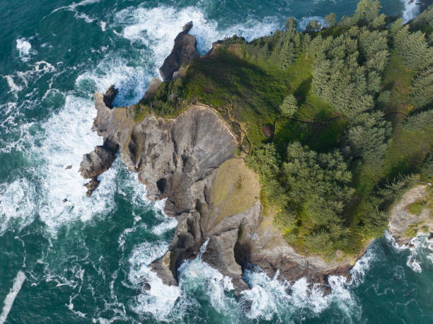 istock Aerial View of Rugged Oregon Coastline 1444974665