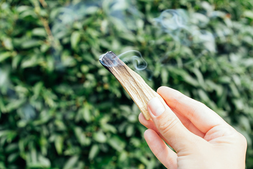 Smoldering palo santo stick with smoke in female hand against natural green leaves background with copy space. Fumigation ritual process. Burning palo santo for meditation