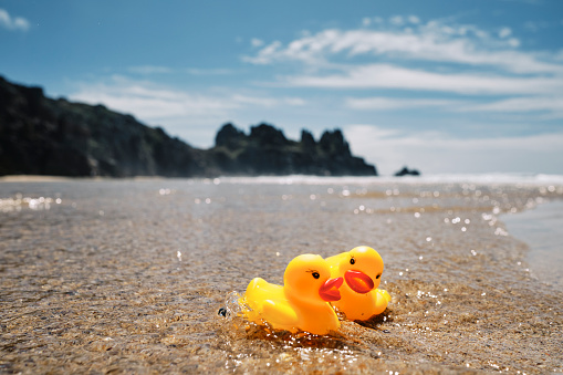 Conceptual, two rubber ducks on a beach holiday at Pedn Vounder Beach, Cornwall on a bright sunny day.
