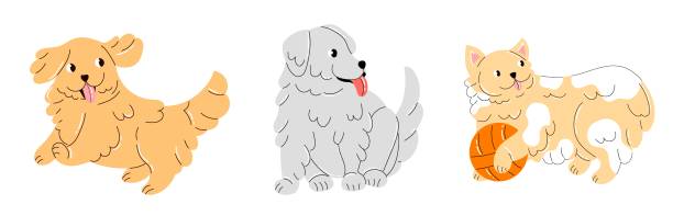 illustrazioni stock, clip art, cartoni animati e icone di tendenza di collezione di cuccioli carini isolati su sfondo bianco. - spitz type dog immagine