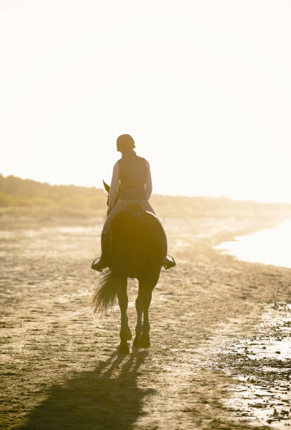 istock Young Lady riding horse on the beach at sunset 1444980194