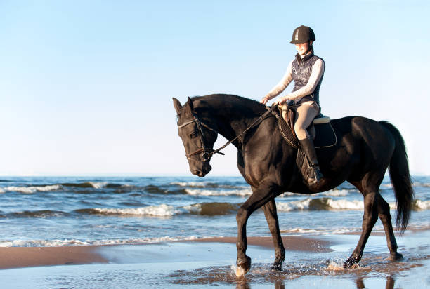 istock Young Lady riding horseback at wavy seaside/ocean coast 1444980260