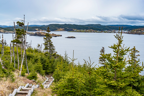 The view of Skerwink Trail, Port Rexton, Canada
