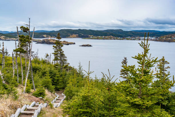 The view of Skerwink Trail, Port Rexton, Canada stock photo