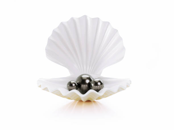 Open Sea Shell And Black Pearls On White Background