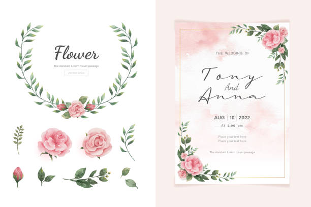 illustrations, cliparts, dessins animés et icônes de modèle de peinture à l’aquarelle botanique de fleurs et de feuilles avec des éléments pour le mariage, l’invitation, les décorations de cartes de vœux et plus encore - rose fleur