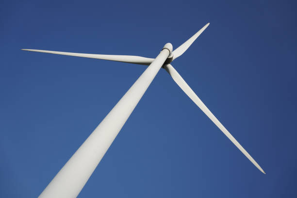 istock Wind turbines in rural landscape 1444987406