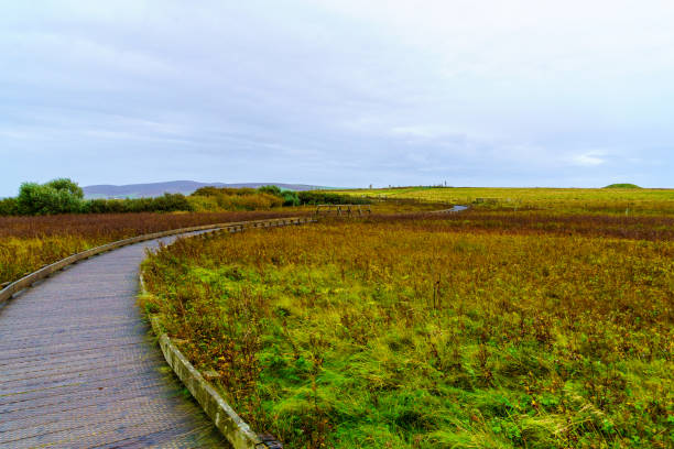 istock Footpath and the Ring of Brodgar Stone Circle, 1444991159
