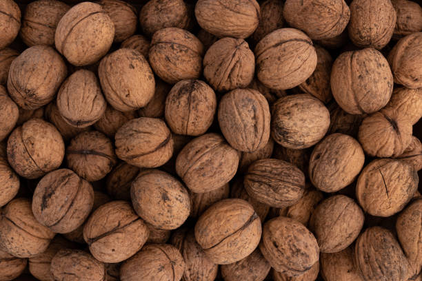 istock background of unpeeled walnuts close up top view 1444991816