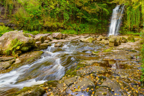 istock Blaen y Glyn waterfall, in Brecon Beacons National Park 1444994131
