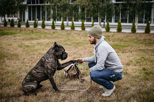 Happy man training with his dog in the nature