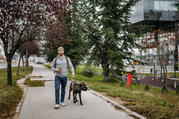 istock Young man and his dog walking 1444998399