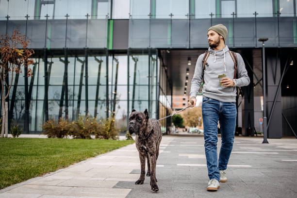 istock Young man and his dog walking 1444998661